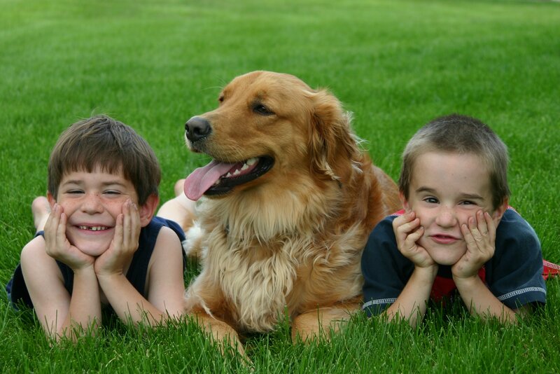 Two Boys and a Dog