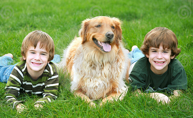 Two Boys and a Golden Retriever