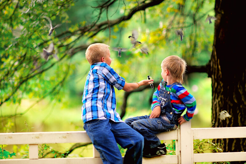 Two Boys Feeding Birds