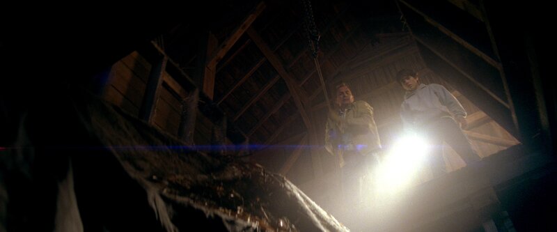 Two boys in a dark attic