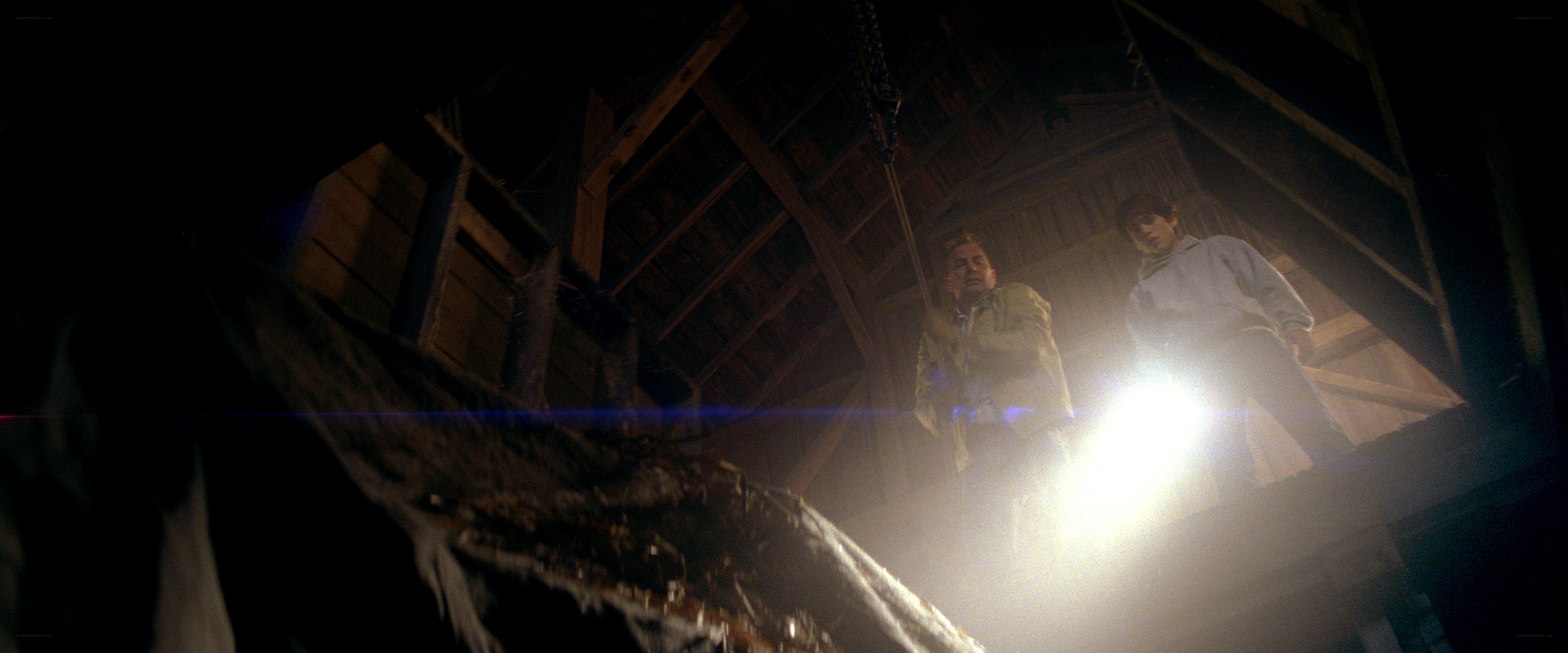 Two boys in a dark attic