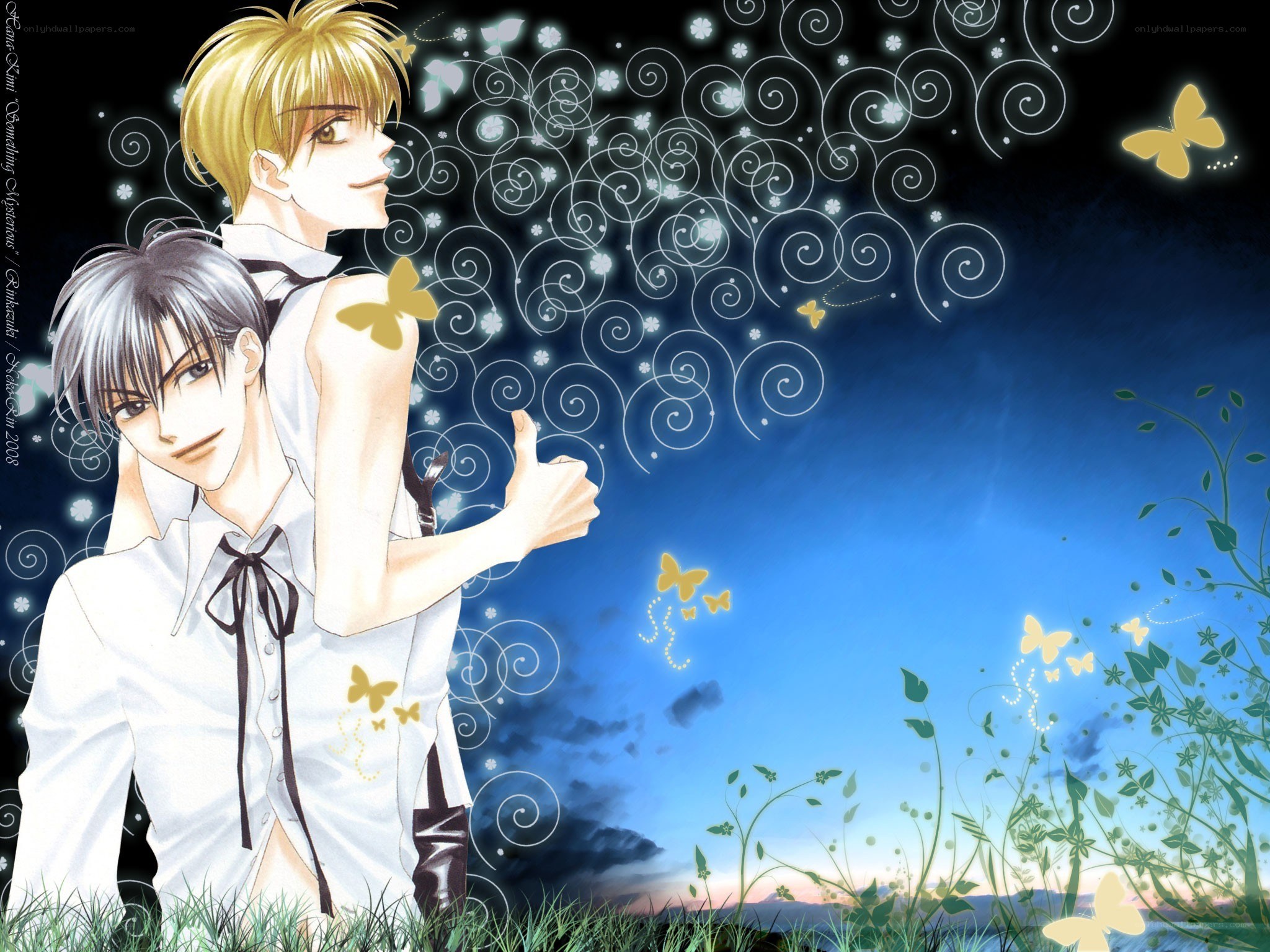Two boys in a dreamy field
