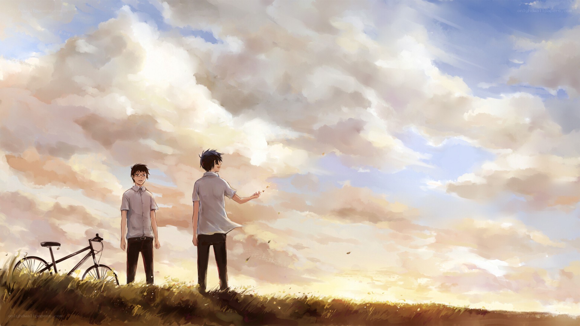 Two boys in a field at sunset