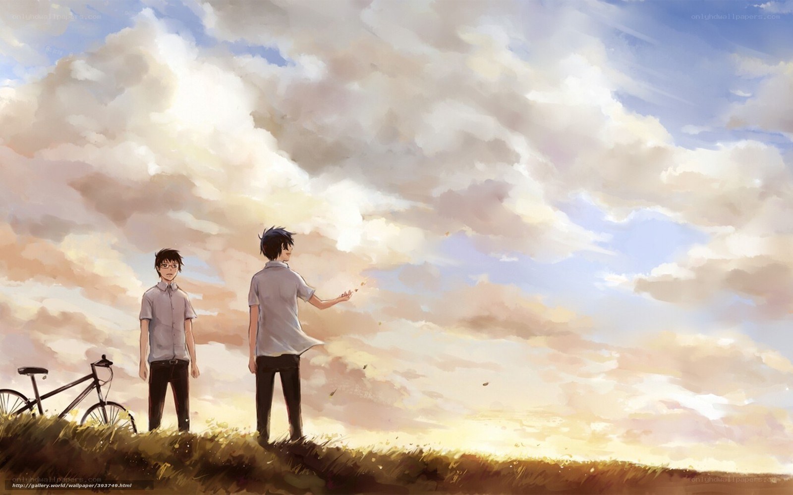 Two boys in a field at sunset