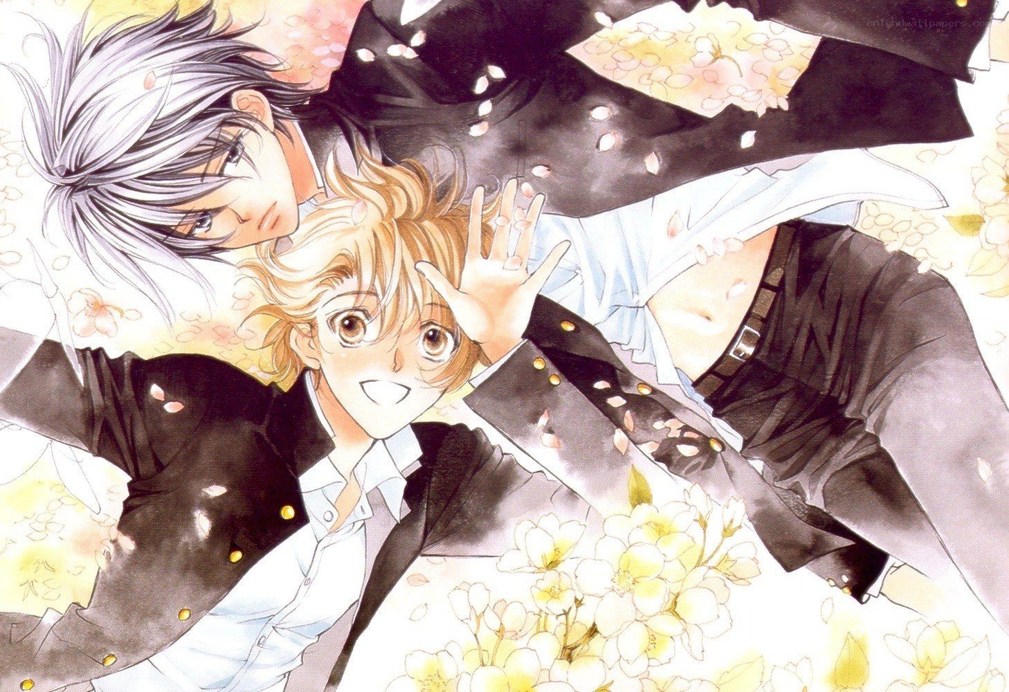 Two boys in a flower field