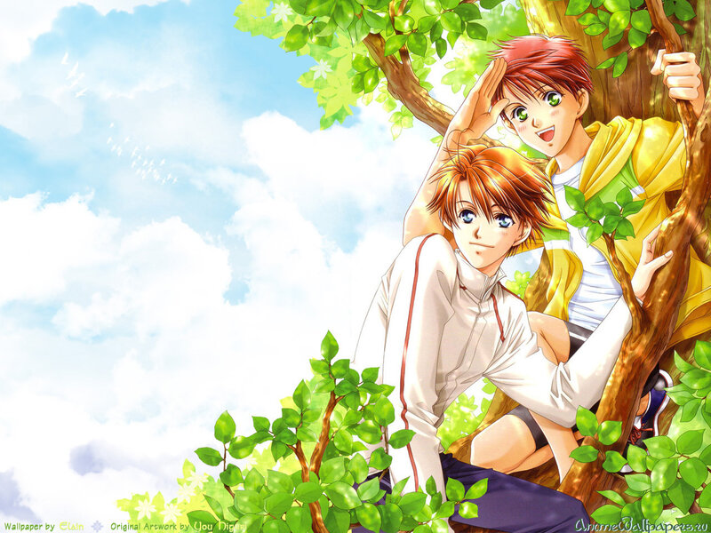 Two boys in a tree