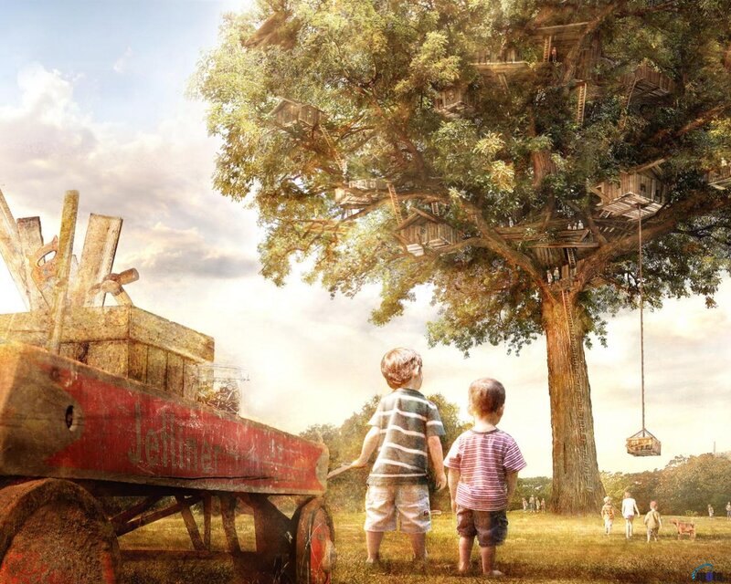 Two Boys Looking at Treehouse — Green, Serene, Afternoon