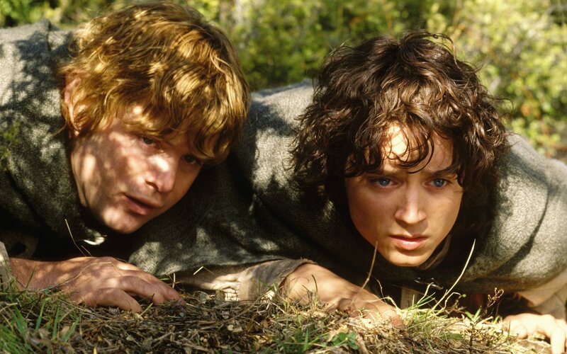 Two Boys Lying in Grass — Green