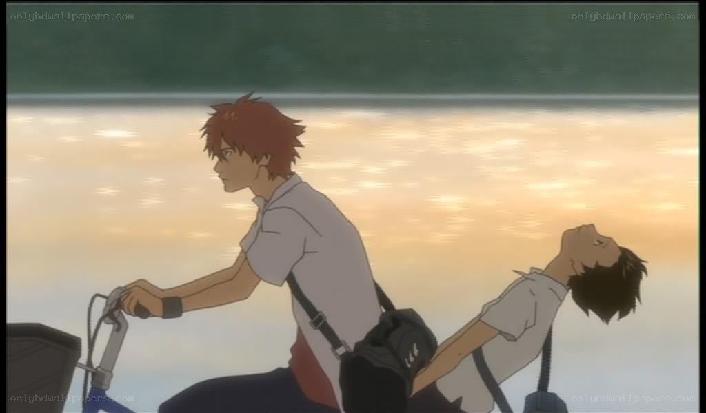 Two boys on a bicycle at sunset