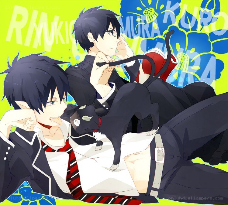 Two boys with a cat