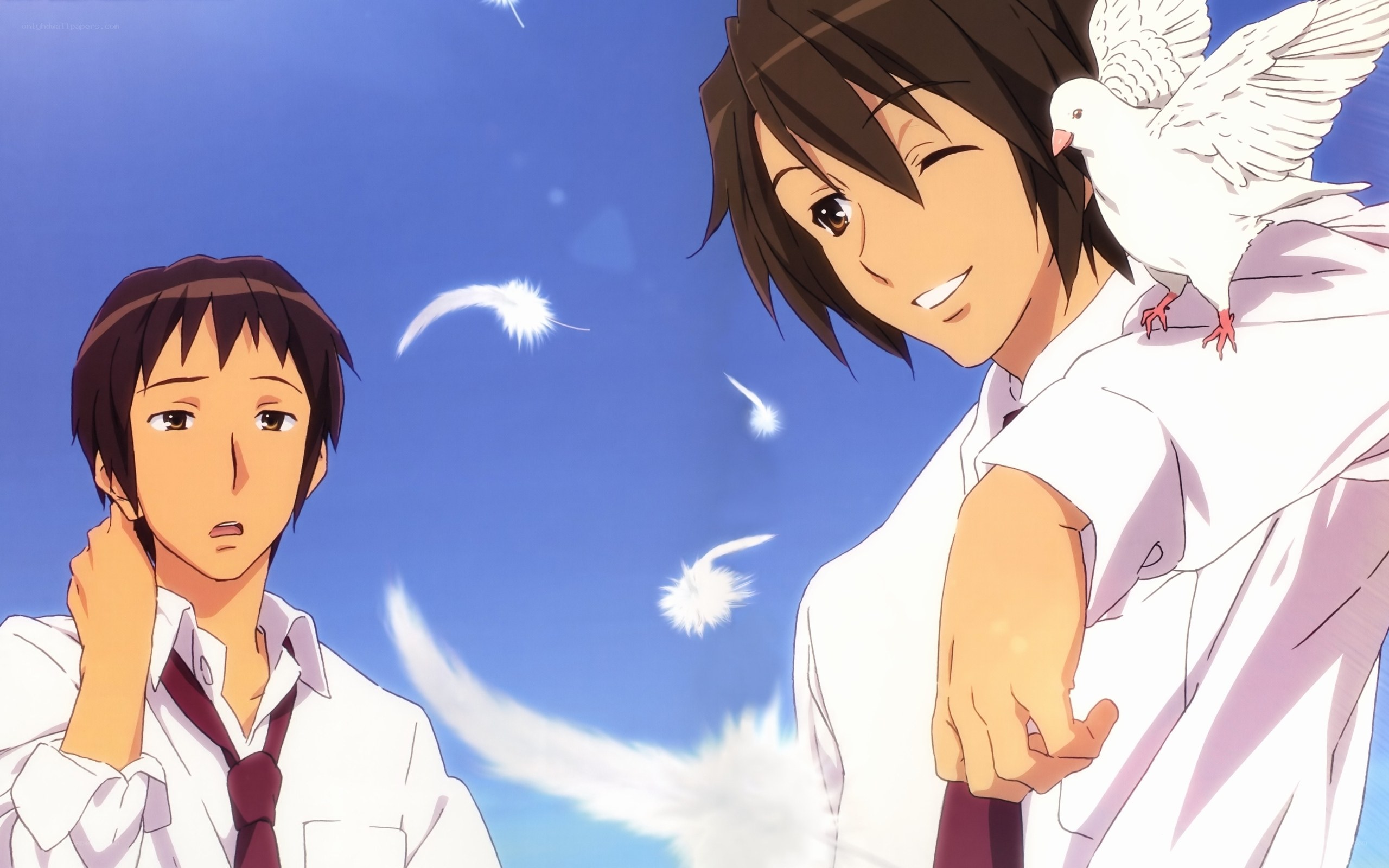 Two boys with a white dove