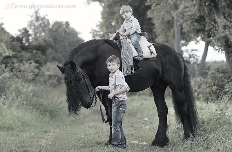 Two Boys with Black Horse
