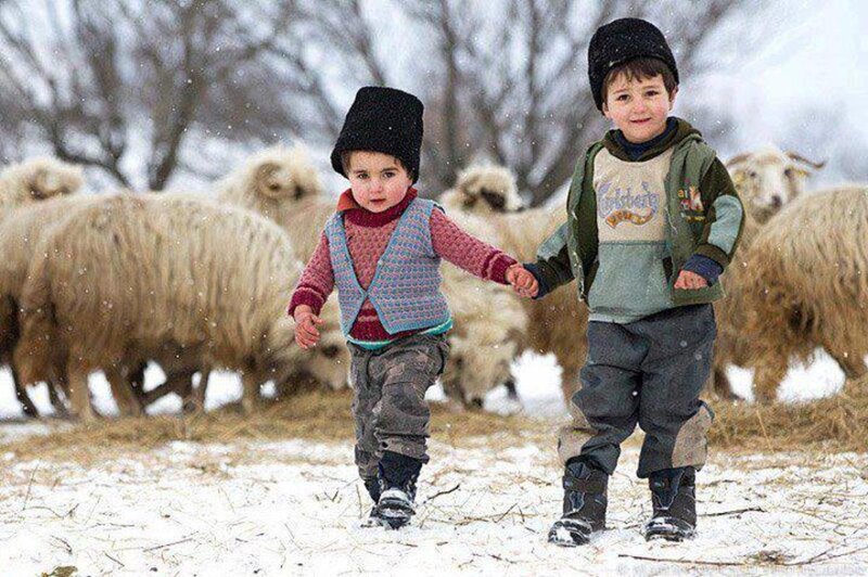 Two Boys with Sheep