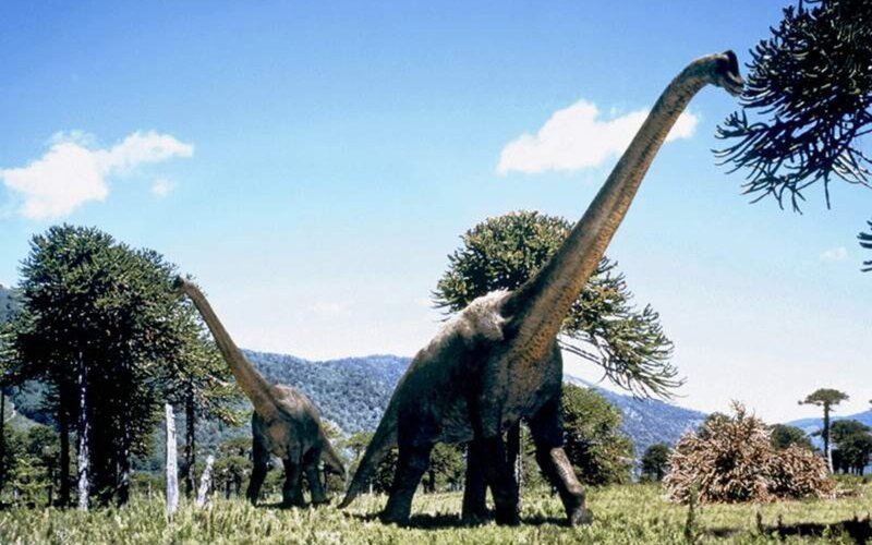 Two Brachiosaurus Dinosaurs — Green