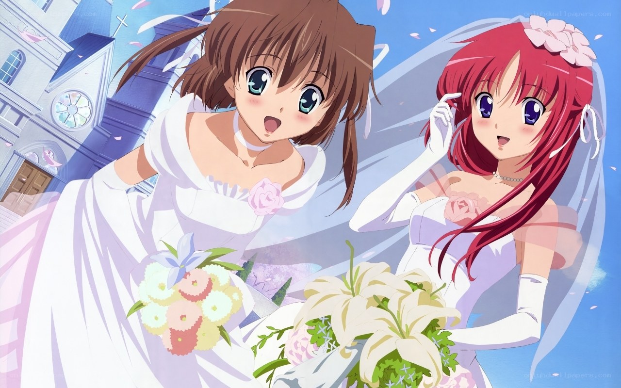 Two brides in wedding dresses