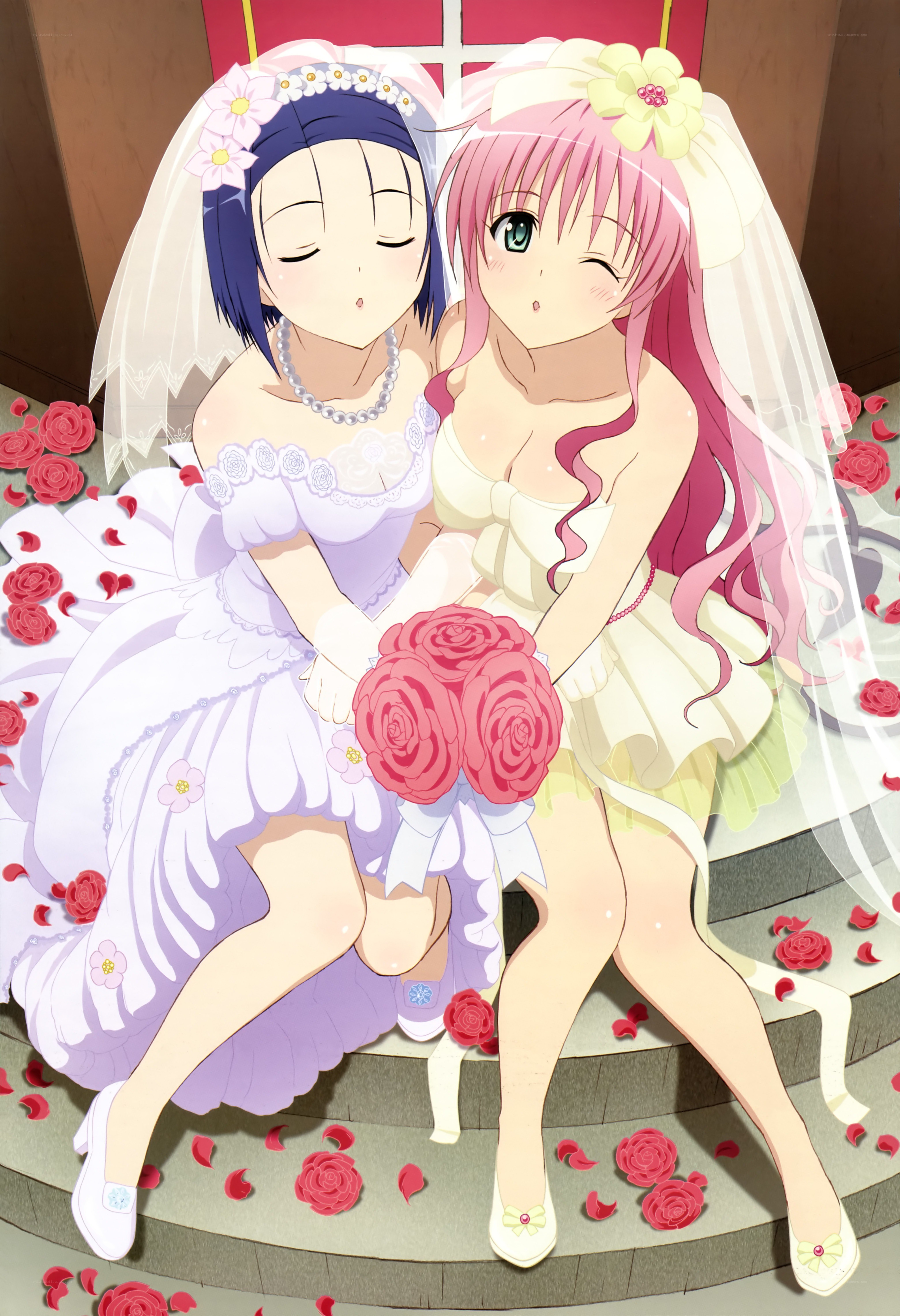 Two brides in wedding dresses