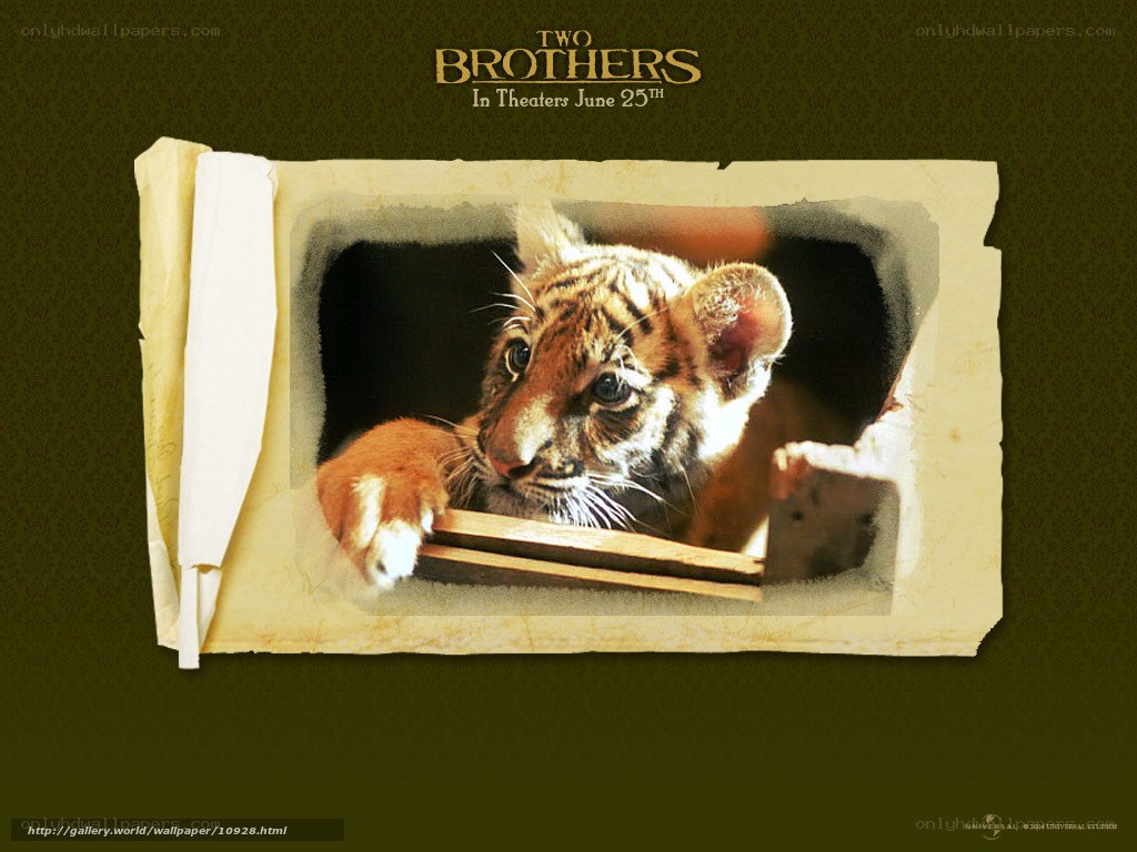 Two Brothers movie poster
