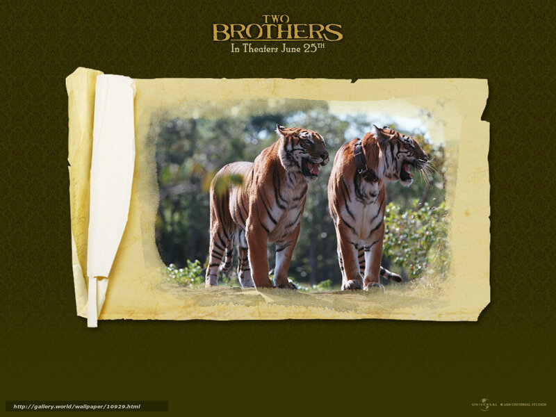 Two Brothers movie poster