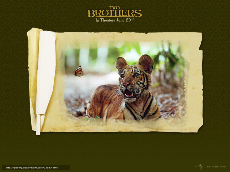 Two Brothers movie poster