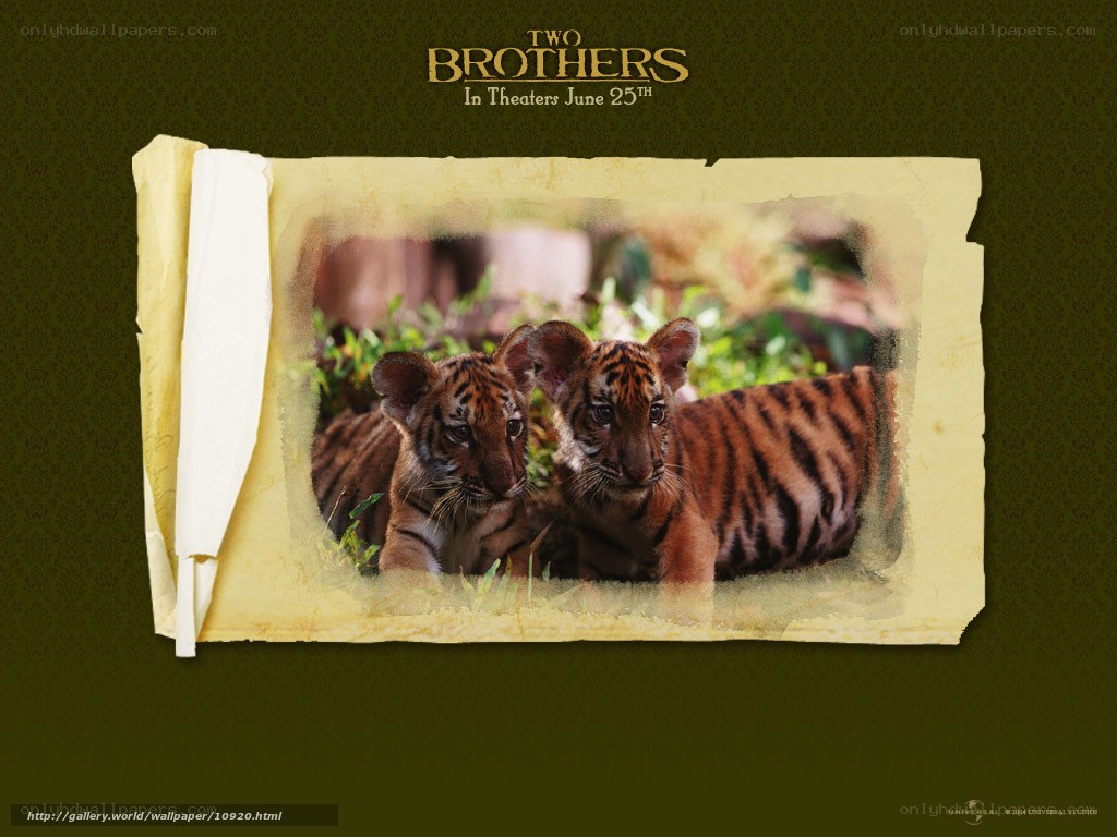 Two Brothers movie poster