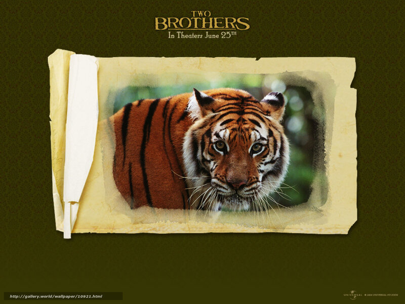 Two Brothers movie poster