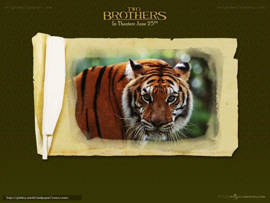 Two Brothers movie poster