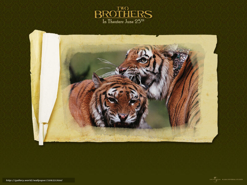 Two Brothers movie poster