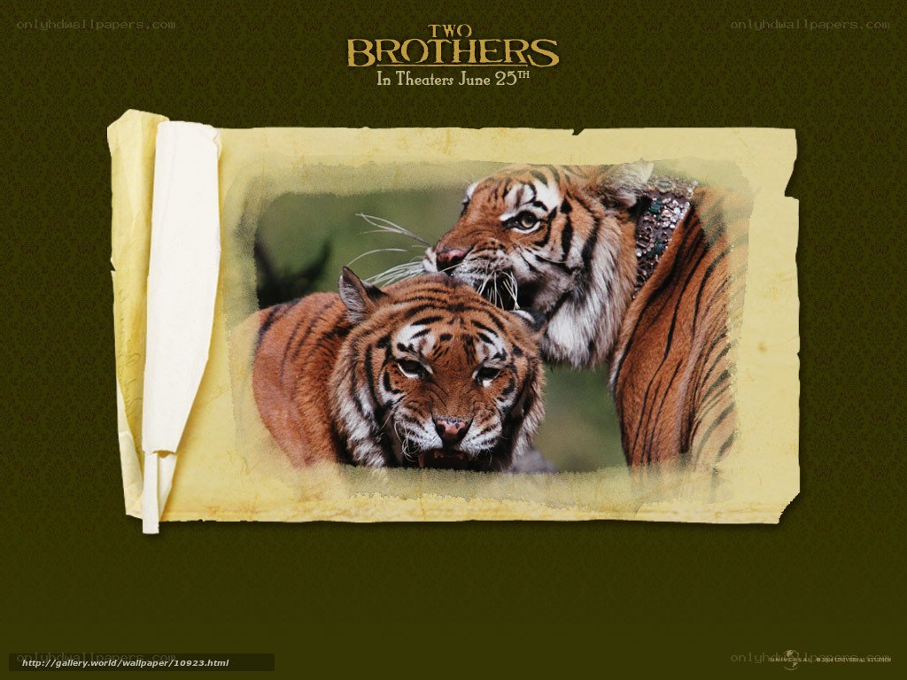 Two Brothers movie poster