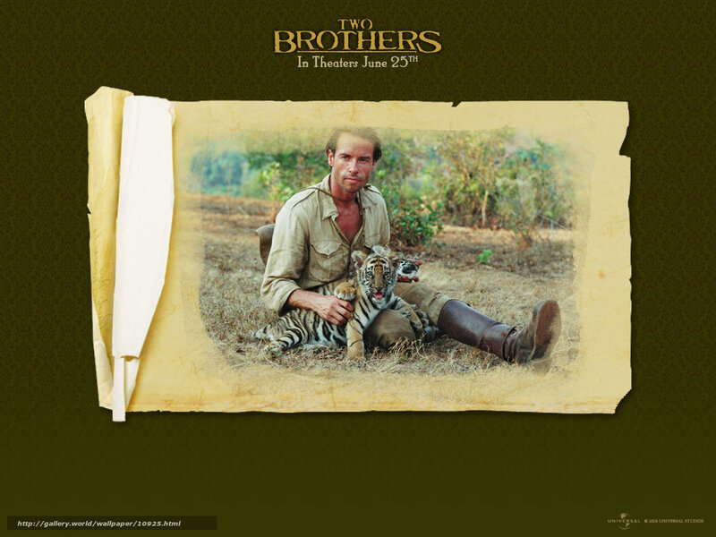 Two Brothers movie poster