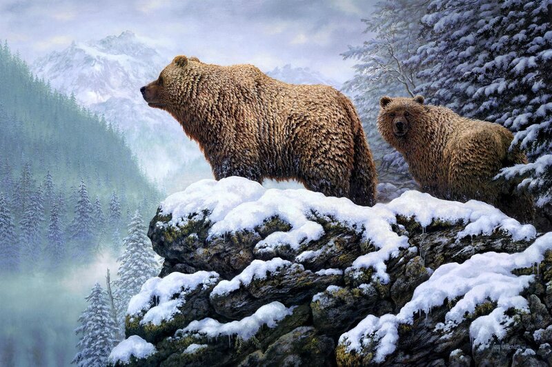 Two Brown Bears on Rock