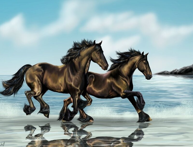 Two Brown Horses Running — Dynamic, Afternoon