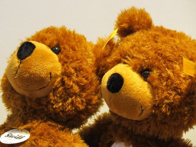 Two Brown Teddy Bears