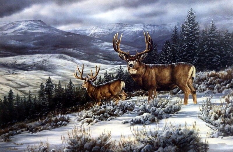 Two Bucks in Snow
