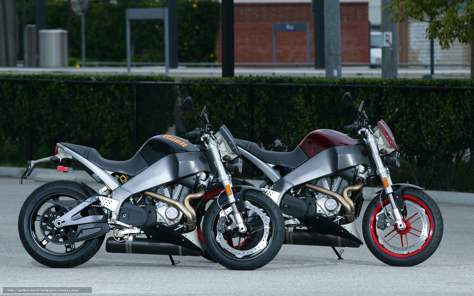 Two Buell motorcycles side by side