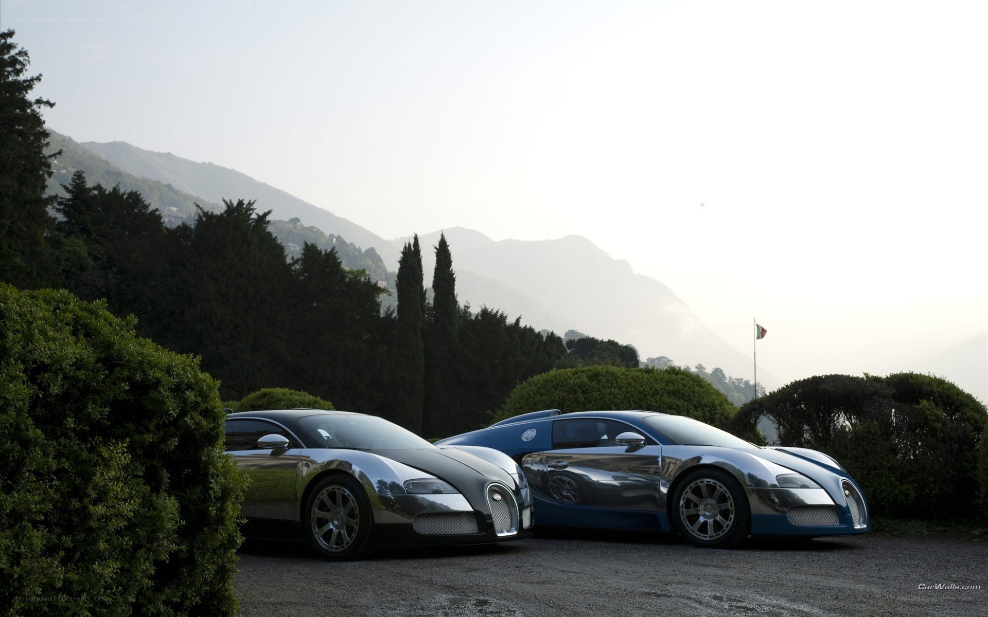 Two Bugatti Veyrons in a scenic setting