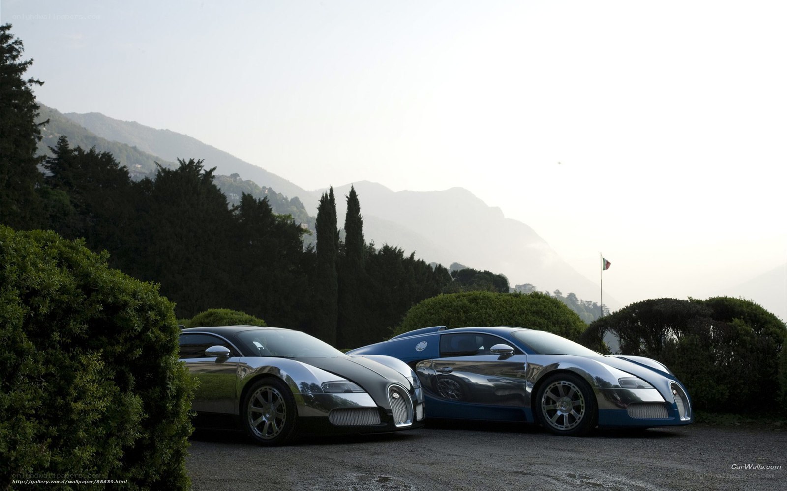 Two Bugatti Veyrons in a scenic setting