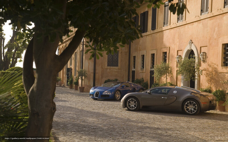 Two Bugatti Veyrons