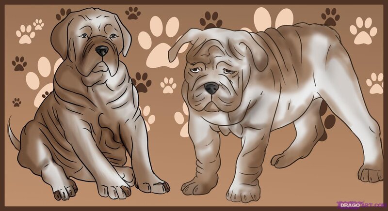 Two Bulldog Puppies — Brown