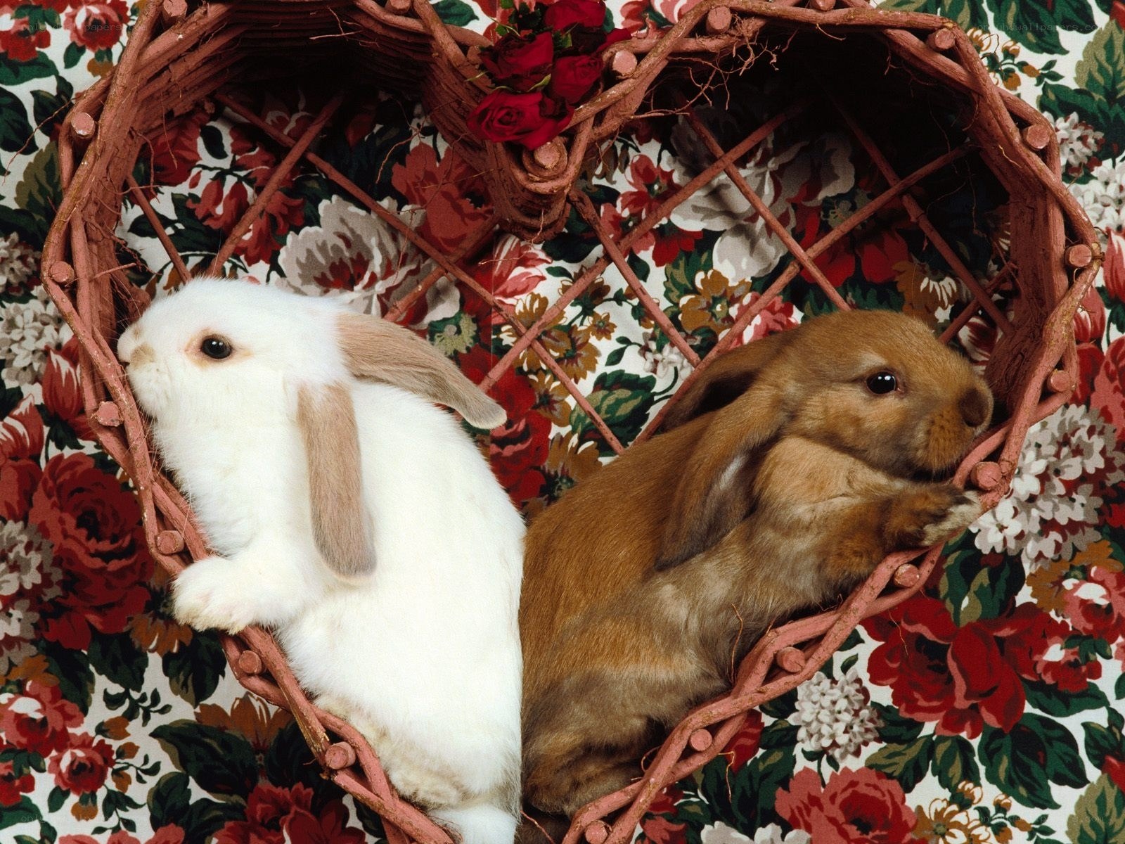 Two bunnies in a heart basket