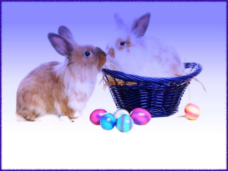 Two Bunnies in Basket — Blue
