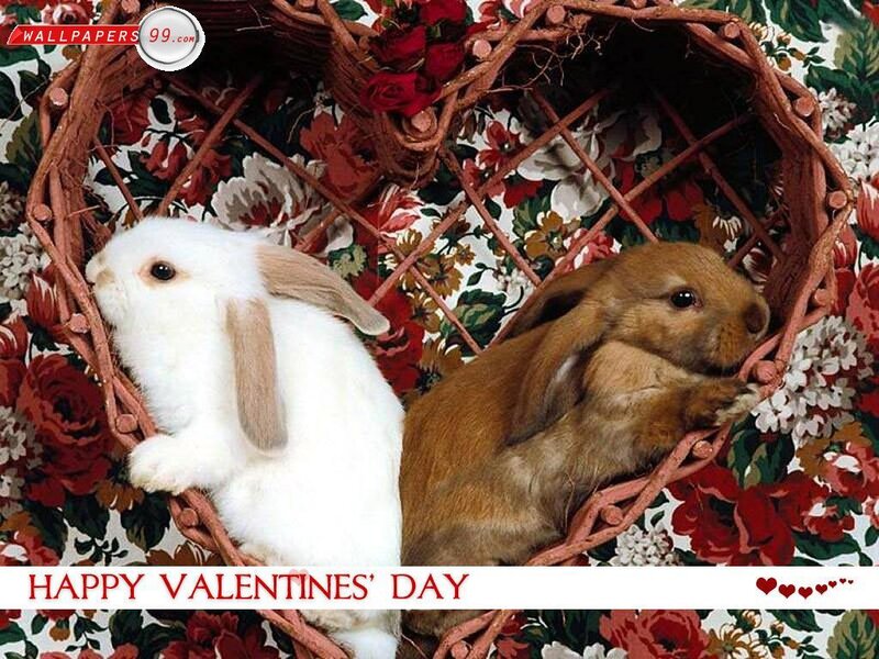 Two Bunnies in Basket