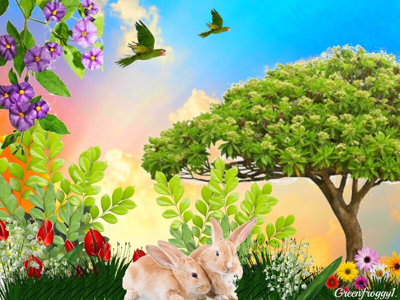 Two Bunnies in Garden