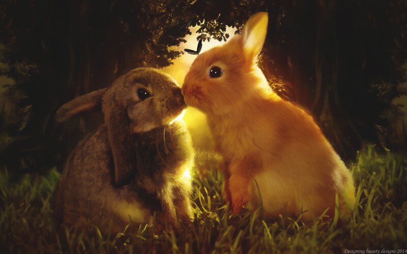 Two Bunnies in Grass — Yellow