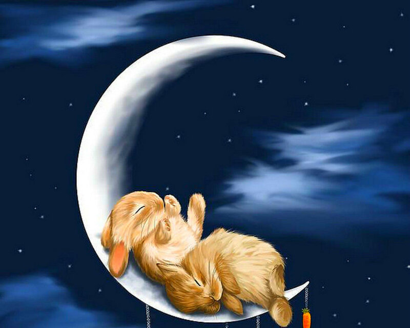 Two Bunnies on Moon