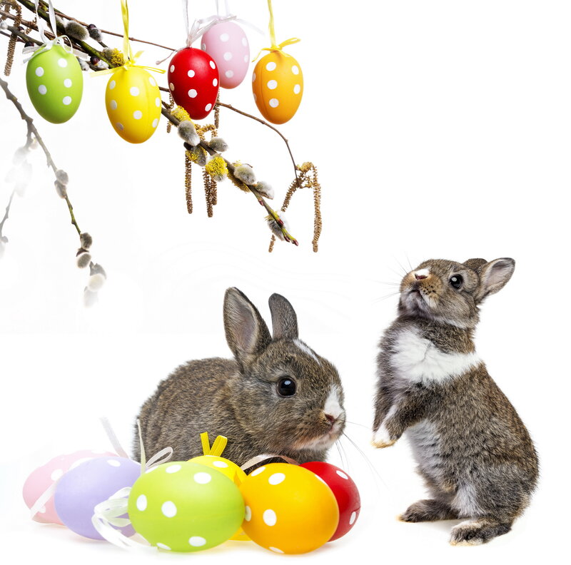 Two Bunnies with Easter Eggs — White, Festive
