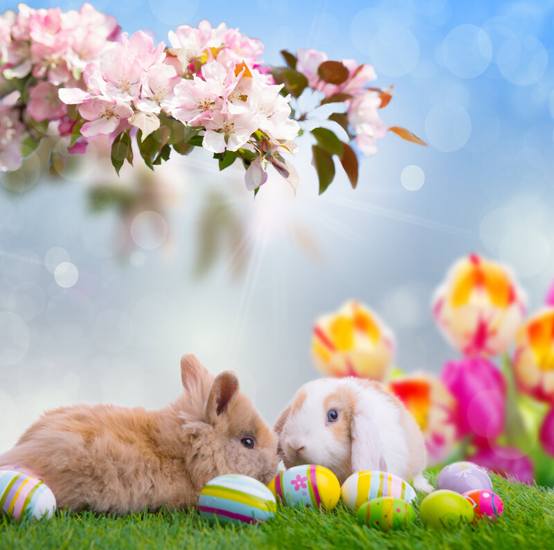 Two Bunnies with Eggs — Green
