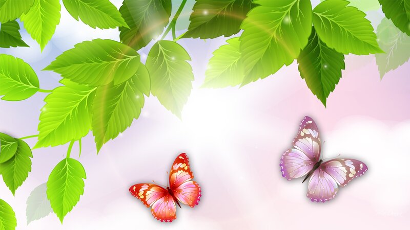 Two Butterflies Among Leaves