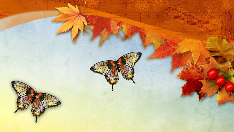 Two Butterflies and Autumn Leaves