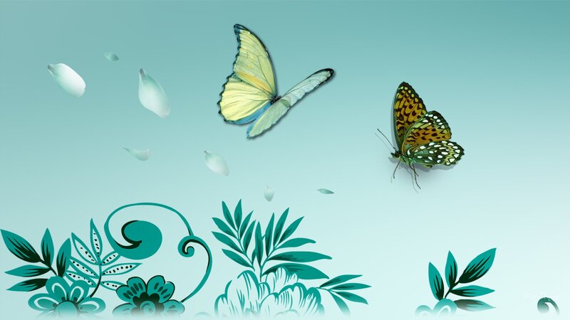 Two Butterflies and Petals