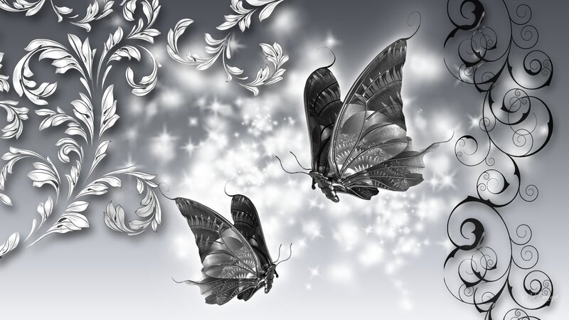 Two Butterflies in Flight — Black